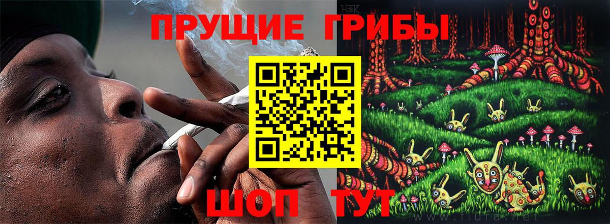 Галлюциногенные грибы мицелий Губкин