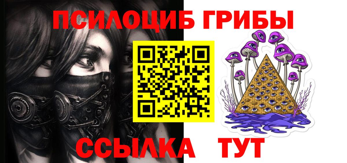 Галлюциногенные грибы Psilocybine cubensis  Вход с VPN  Губкин 